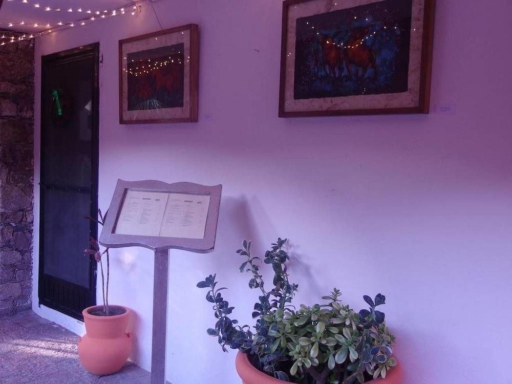 Casa De Las Conservas Comfort Сан Мигел де Аленде Екстериор снимка